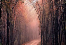 南宫28:北京半程马拉松抽签结果公布,中签选手4月2日17时前须完成缴费.