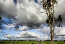 南宫28:1:2,超级大冷门!750万德丙鱼腩爆冷德甲冠军,皇马名宿无缘卫冕.