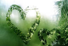 德甲2025年度积分榜:拜仁26分最高,多特11场10分列倒四.